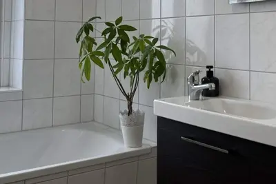 Image de Central apartment in Magdeburg with Netflix and kitchen We18
