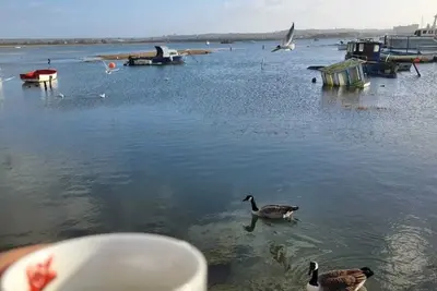 Image de Poole, Holes Bay Harbour Nature Reserve - 'Right' next to the water :-) Sleeps 3