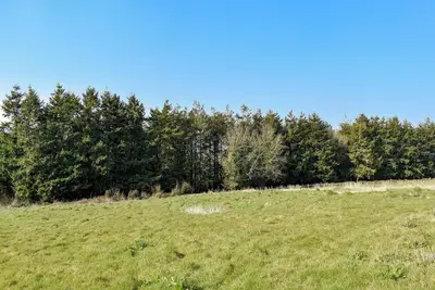 Image de Old Highwood - Piggy in the Middle