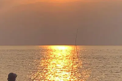 Image de Quiet fish/birdwatching getaway. Walk to water or bring your boat 5min to dock