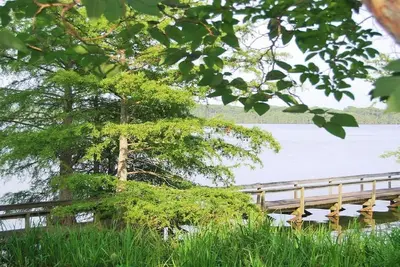 Image de Tranquil Getaway - Fishing Haven