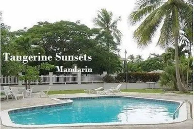 Image de Tangerine Sunsets Mandarin