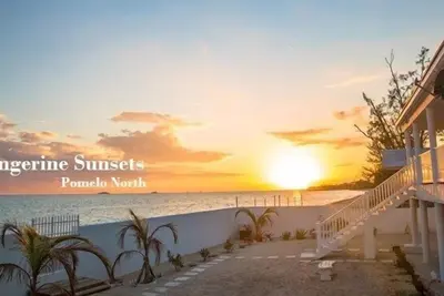 Image de Tangerine Sunsets Pomelo North