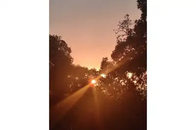 Image de Logement F2 avec jardin privé et piscine