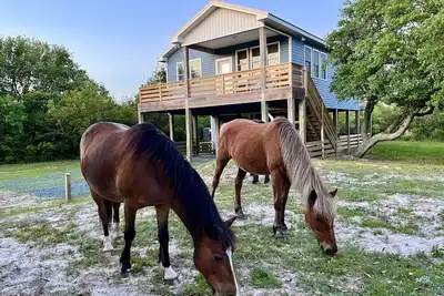 Image de ManeStay Modern Coastal Beach Cottage, where wild horses roam free!
