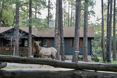 Image de Cozy Getaway near historic schoolhouse