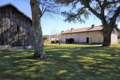 Image de 2 pièces entre forêt et océan