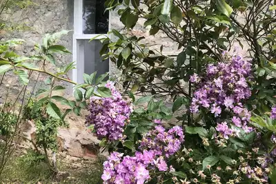 Image de Luxurious Gorgeous Cottage - In the Heart of Adelaide Hills