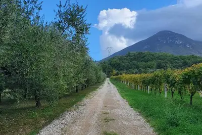Image de Unique countryside loft room, near Naples
