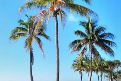 Image de Lovely 2-Bedroom Rental Unit with Patio