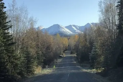 Image de Quiet Apartment in the Woods