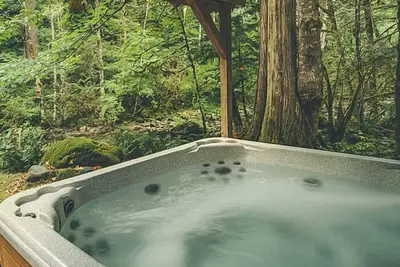 Image de Moondance Cabin - Secluded Creekside Log Cabin, Fireplace, Hot Tub