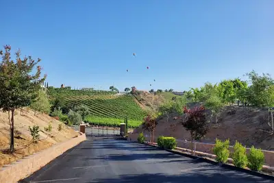 Image de Southern Vines Suite - Wine country treat!