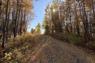 Image de Modern family-sized chalet at private lake
