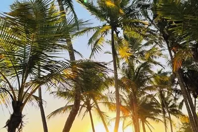 Image de Sea breeze, Sun & walking distance from the beach