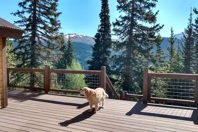 Image de Private Mountainside Perch with Hot Tub / Pet Friendly / Retro Chic - Alpine Haus