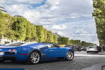 Image de A Bit of Glamour and Magic in Champs Elysees