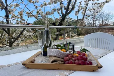 Image de Appartement de deux chambres avec la terrasse Ugljan (A-19234-a)