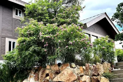 Image de Gran Vistas- Amazing Views