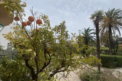 Image de Pav2a jolie 4 pièces