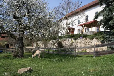 Image de Appartement de vacances Camburg pour 1 - 4 personnes avec 1 chambre à coucher - Maison de vacances