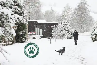 Image de Sustainable vacation with a dog at the Green Tiny House Nature 1 in Osterode am Harz