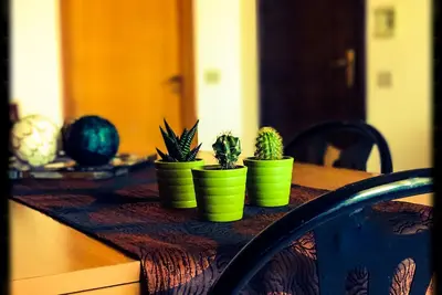 Bright three-room Apartment in Tourist Resort