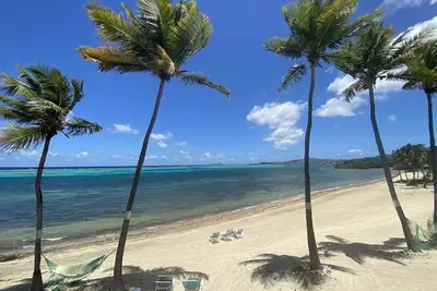 Image de Oceanfront Sugar Beach Condo
