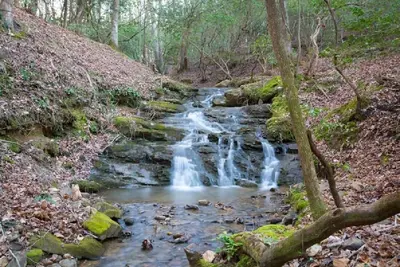 Image de Creekfront Cabin with Waterfall. Hot Tub, Fire Pit, Gameroom, and more.