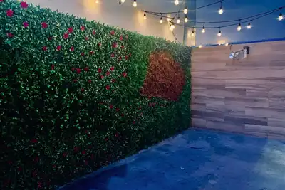 Image de Rent Polanco with Terrace between Masaryk and Horacio