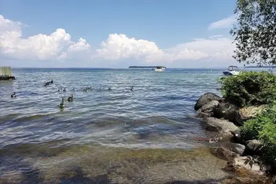 Image de Eco-Friendly Tiny Home Retreat