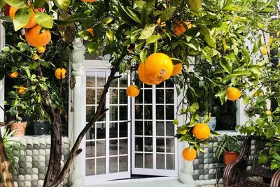 Image de House Sleeps 4 with Private Garden
