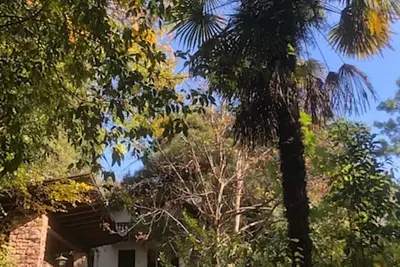Image de Torre Home - detached house with garden in the city of Bolzano all to yourself!