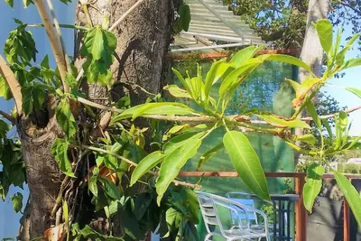 Image de Escazú Container Studio #5 Great Space & Location!