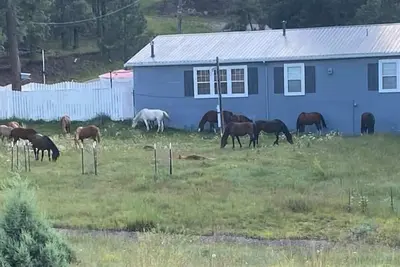 Image de Happy Trails Retreat