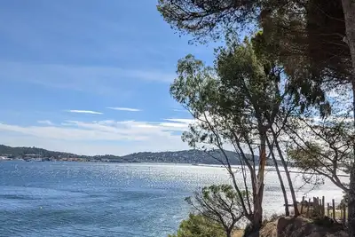 Image de Villa provençale avec cour, jardin et vue mer