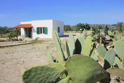 Image de Complete relaxation away from the chaos immersed in the Salento countryside