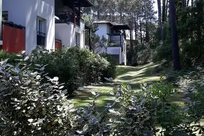 Image de Appartement calme, au milieu des pins