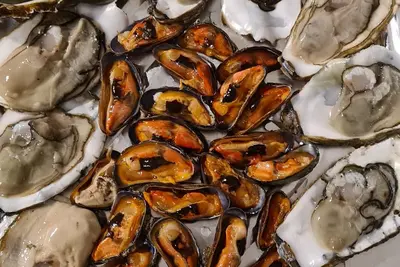 Image de Villa Aurora, beautiful sea view! 400mt from the sandy beach.