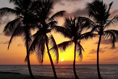 Image de Villa avec Piscine privée  à  Port Blanc Gosier Guadeloupe