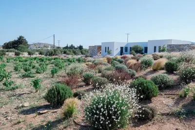 Image de Bracket House Paros Villa with Private Pool Sleeps 8