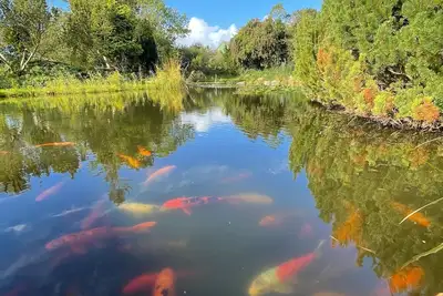 Image de Vacation apartment on the North Sea - close to nature, relaxing - simply schön♥️