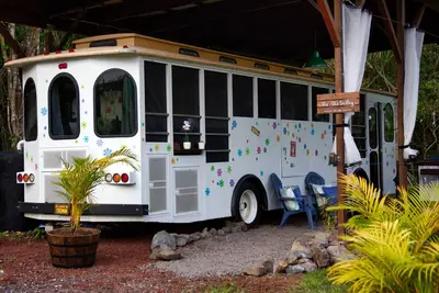 Image de Ali'i Trolley Bus Conversion