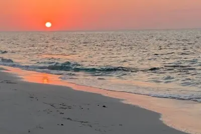 Image de Spacious Tropical Getaway 🌴 - 3 mins away from the airport and beach