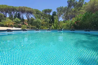 Image de Villa In The Pine Forest With Swimming Pool And Private Beach