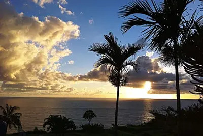 Image de 6. 5 acres Oceanfront Estate with180-degree views of the deep blue Pacific Ocean!