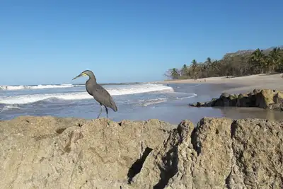 Image de Condo in Tamarindo