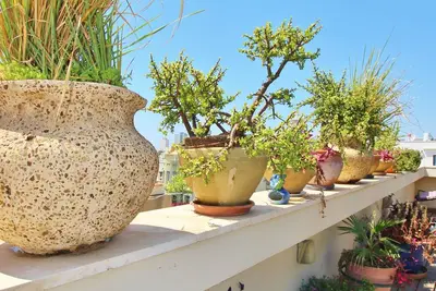 Image de Beautiful Renovated 2 Br Roof Apt In Central Tlv