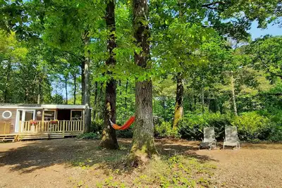 Image de Mobil home 6 pers camping 3* sur belle parcelle au calme