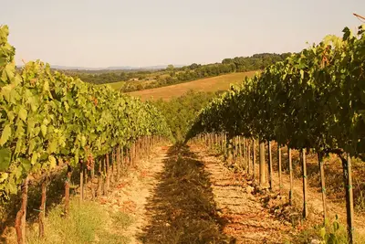 Image de Spacious and panoramic flat